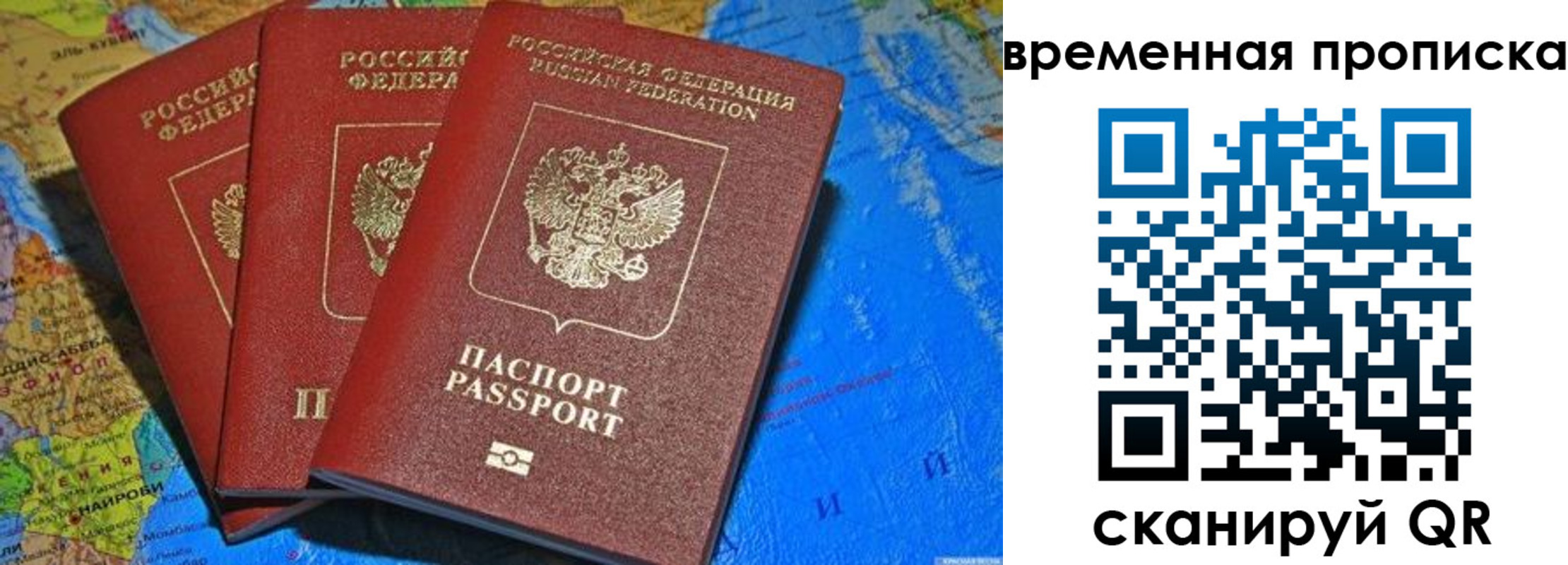 прописка в квартире в Борзе